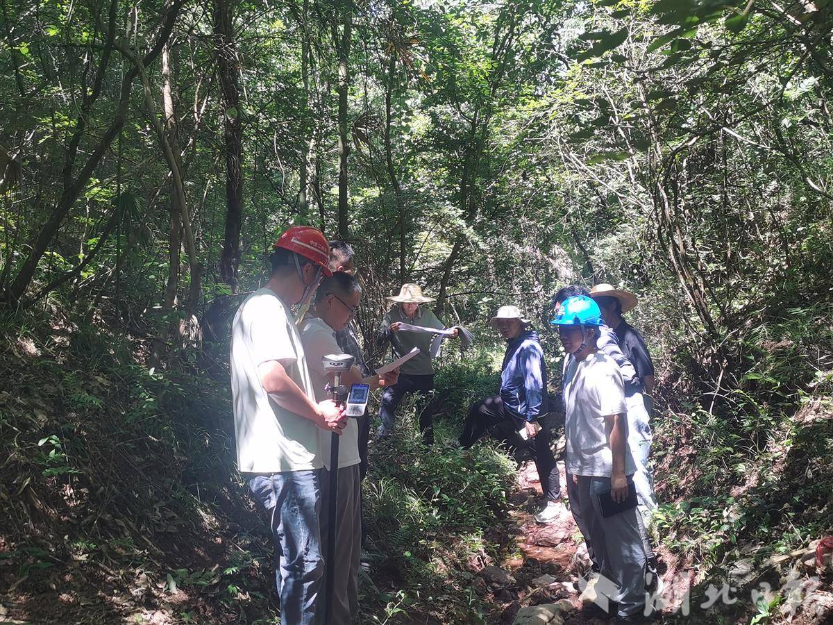 联合业主单位进山勘察.jpg 联合业主单位进山勘察.jpg