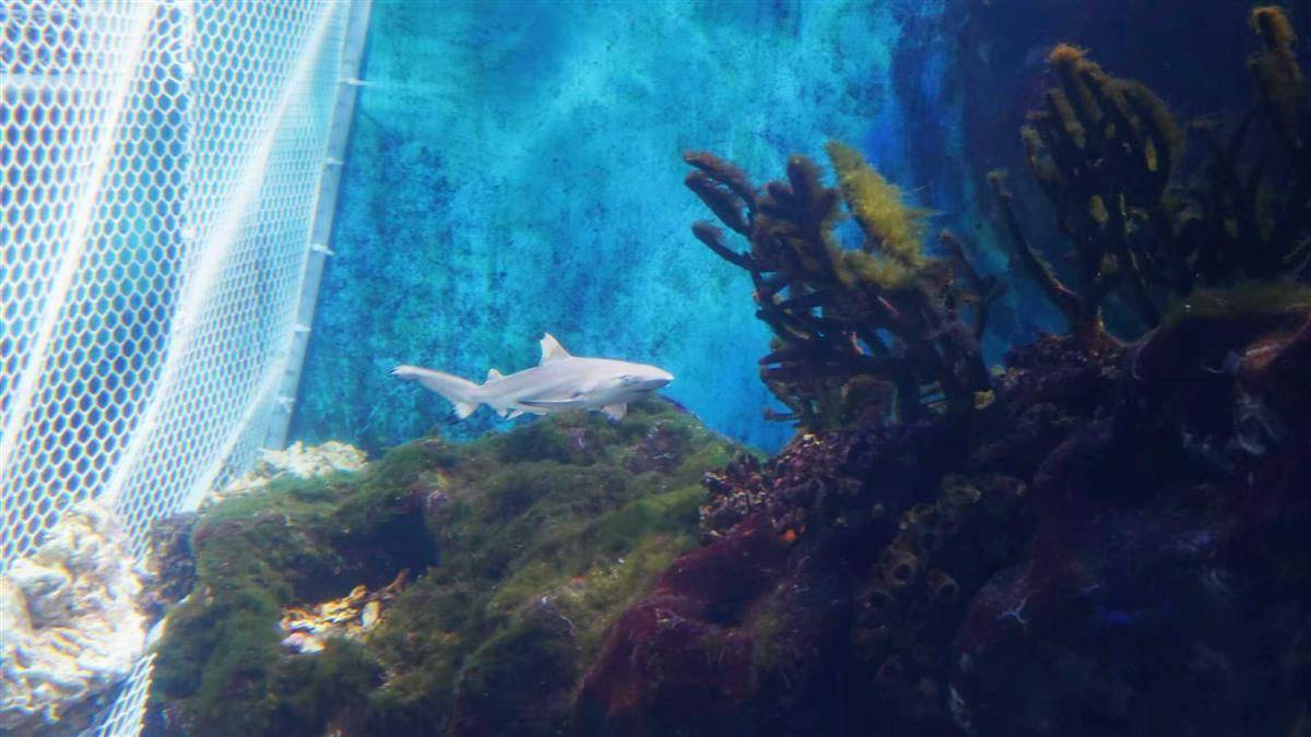 WechatIMG52.jpg WechatIMG52.jpg