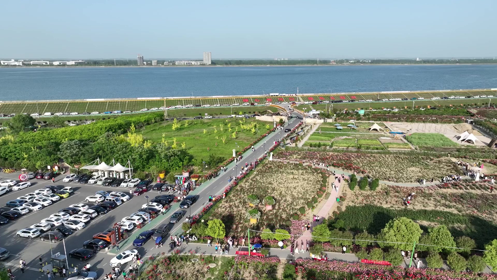 老河口王府洲:乡村游持续升温 点燃乡村振兴"新引擎"