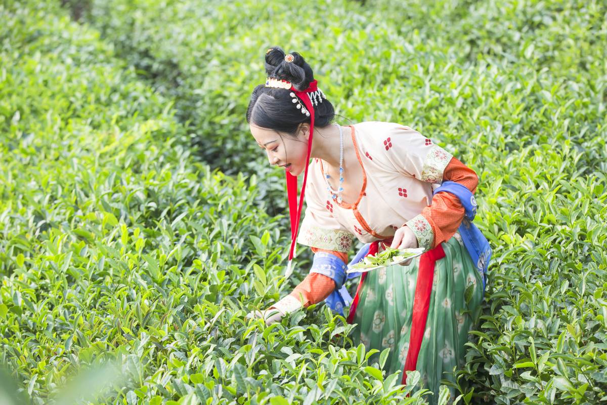 05d4f94c78bfde68822ad46f07860ff5.jpg 05d4f94c78bfde68822ad46f07860ff5.jpg