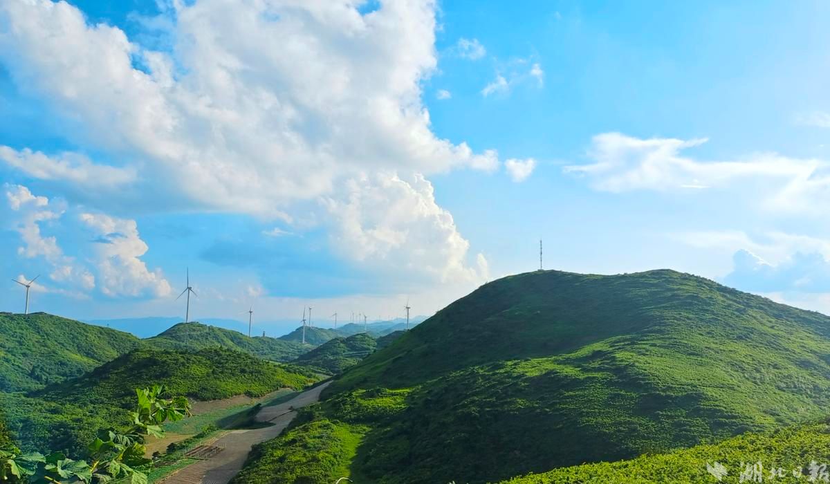 组图夏日大片天赐凉缘齐岳山