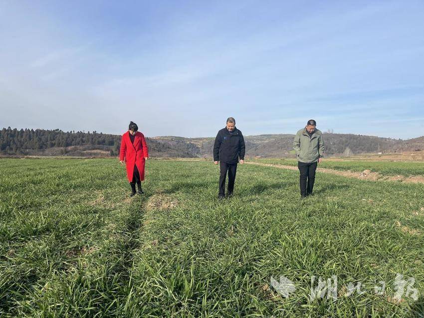 加强田间调查docx.docx