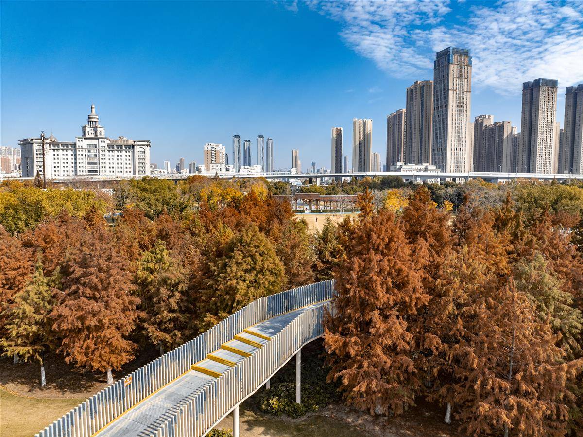 DJI_0157.jpg DJI_0157.jpg