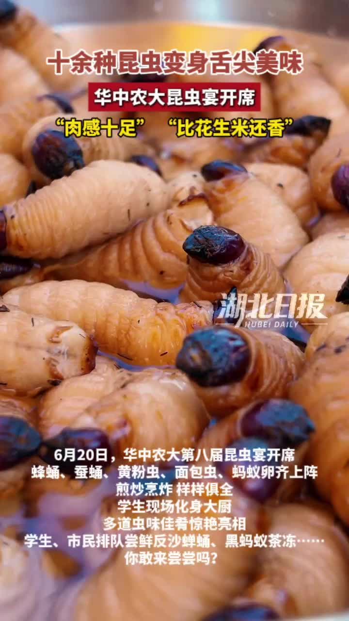 “肉感十足、比花生米还香” 华中农大昆虫宴开席