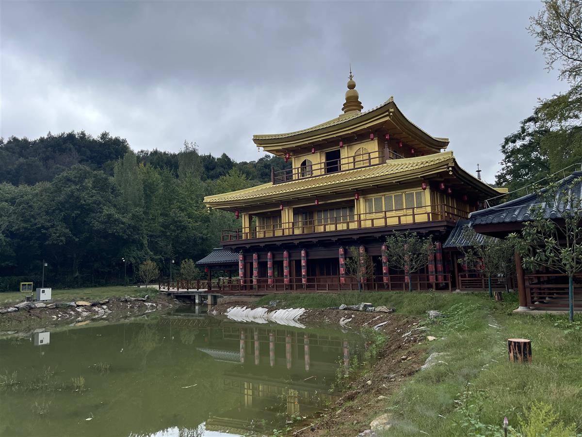 银杏谷景区1.jpg