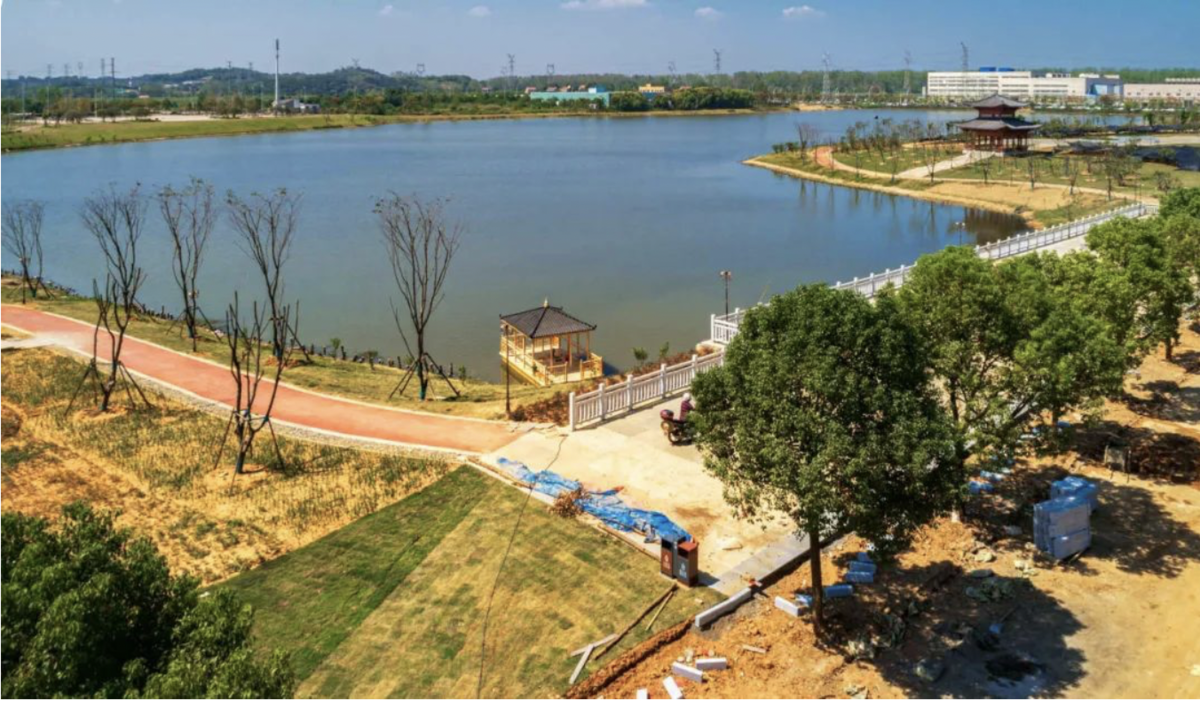 葛店开发区沐鹅湖生态公园即将建成