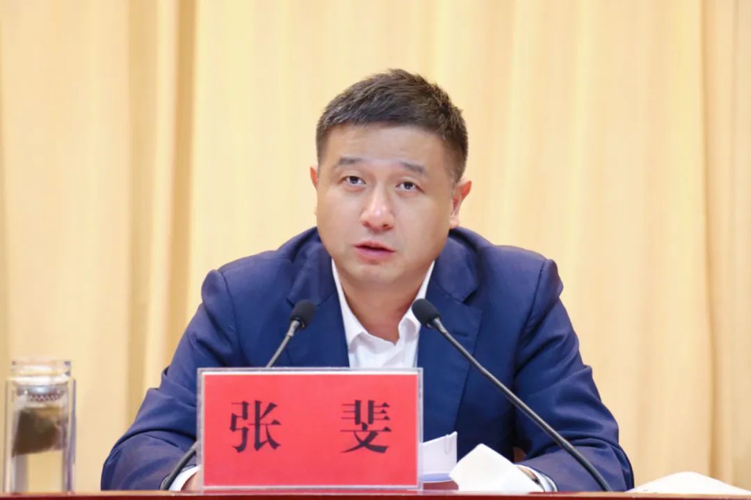 张斐：谁让企业过不好，我们就让谁不好过！ - 湖北日报新闻客户端