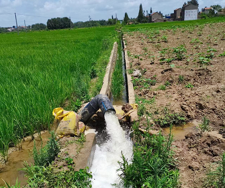 引水润田保丰收29600亩农田灌溉无忧