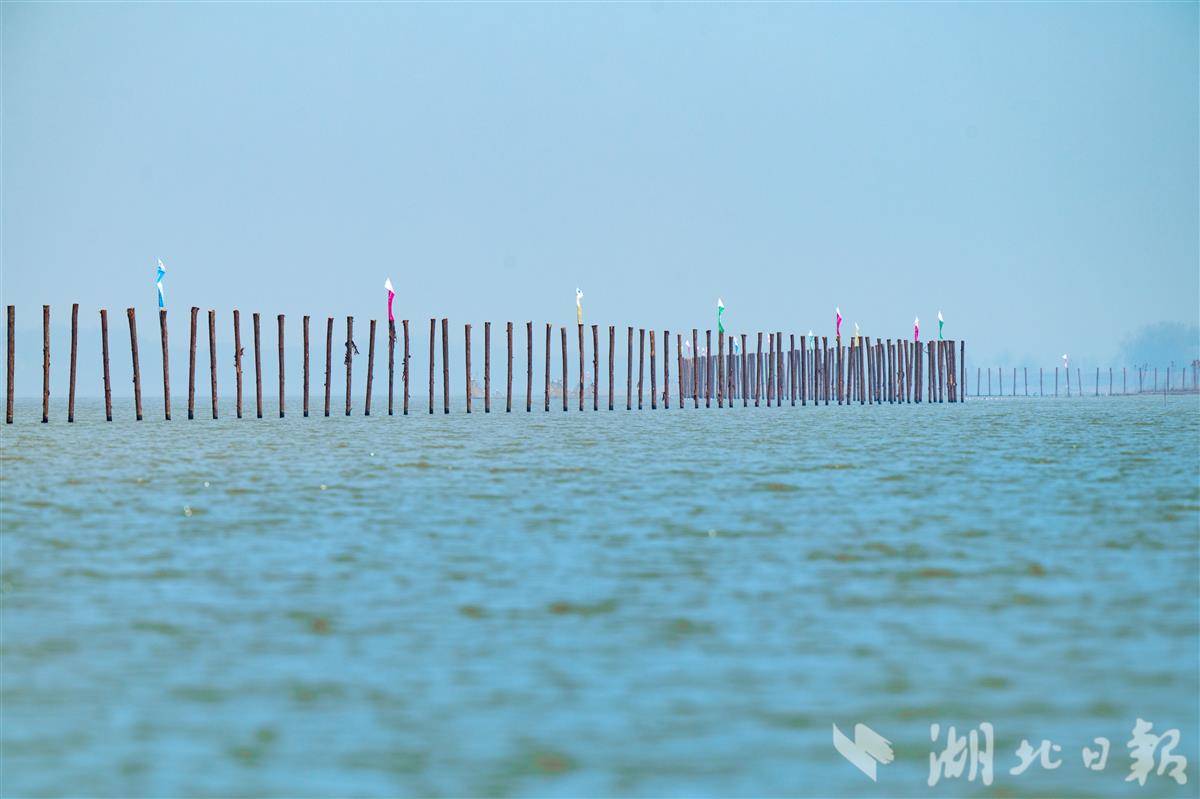 微信图片_20250729142216.jpg 微信图片_20250729142216.jpg