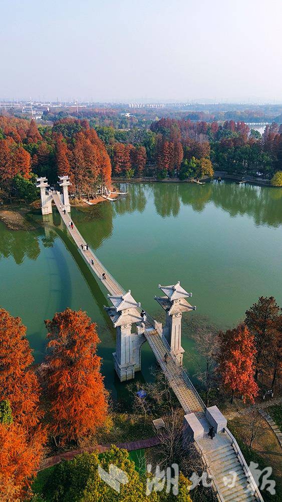 微信图片_20251014151534_476_247.jpg
