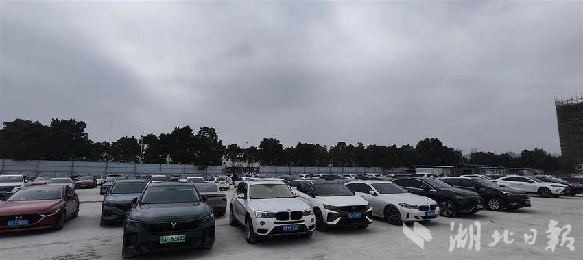 014 有关部门协调附近地块，紧急增加停车位，以应对客流高峰。湖北日报全媒记者 汪洋 摄2.jpg