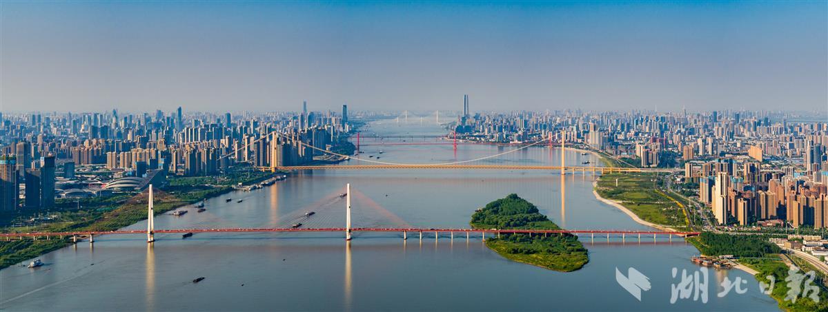 (由近到远为:武汉白沙洲大桥,杨泗港长江大桥,鹦鹉洲长江大桥,武汉