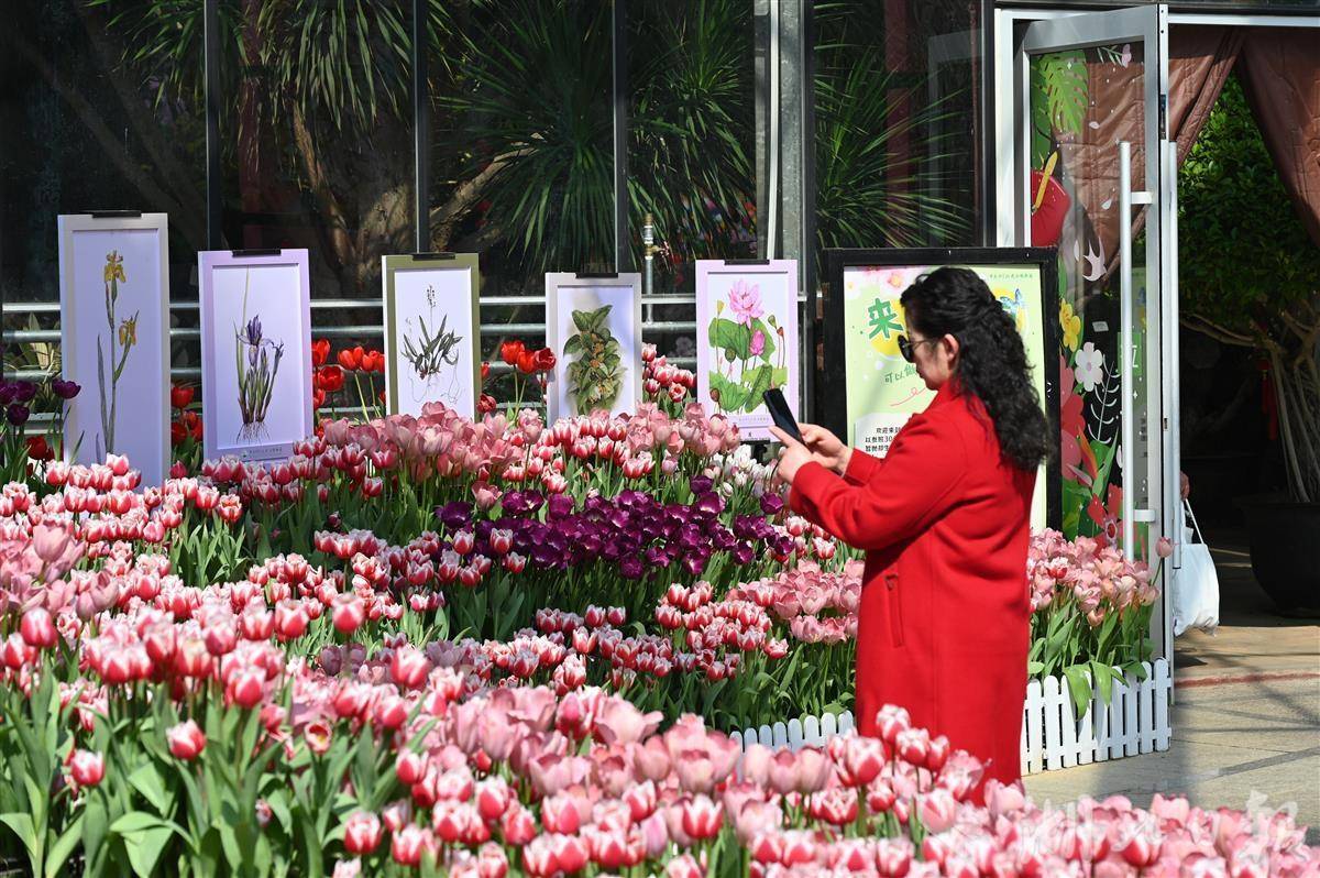 2c503a684c477ca6ca0ad632191b34a2.jpeg 2c503a684c477ca6ca0ad632191b34a2.jpeg