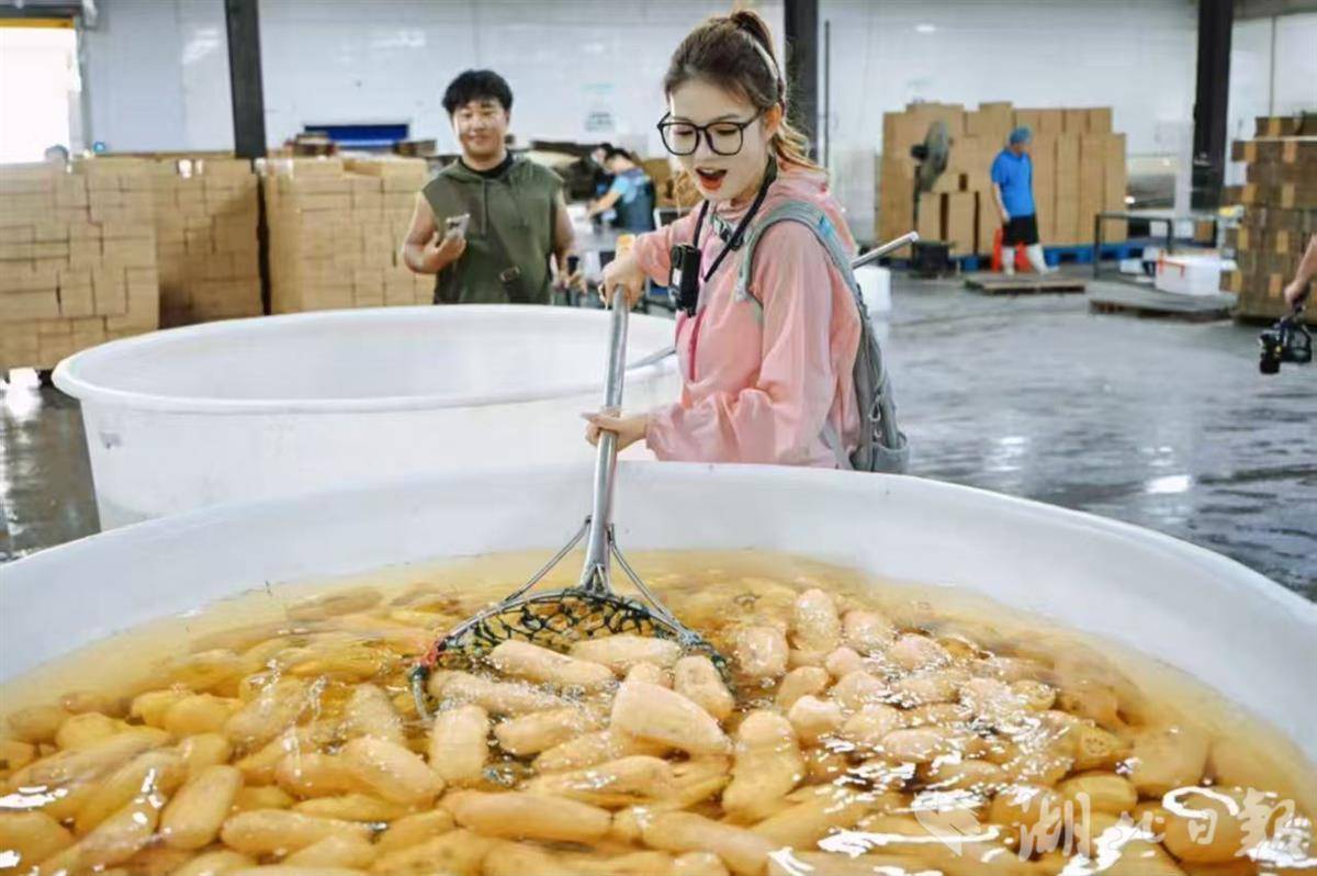 微信图片_20251024105225_3_27.jpg 微信图片_20251024105225_3_27.jpg