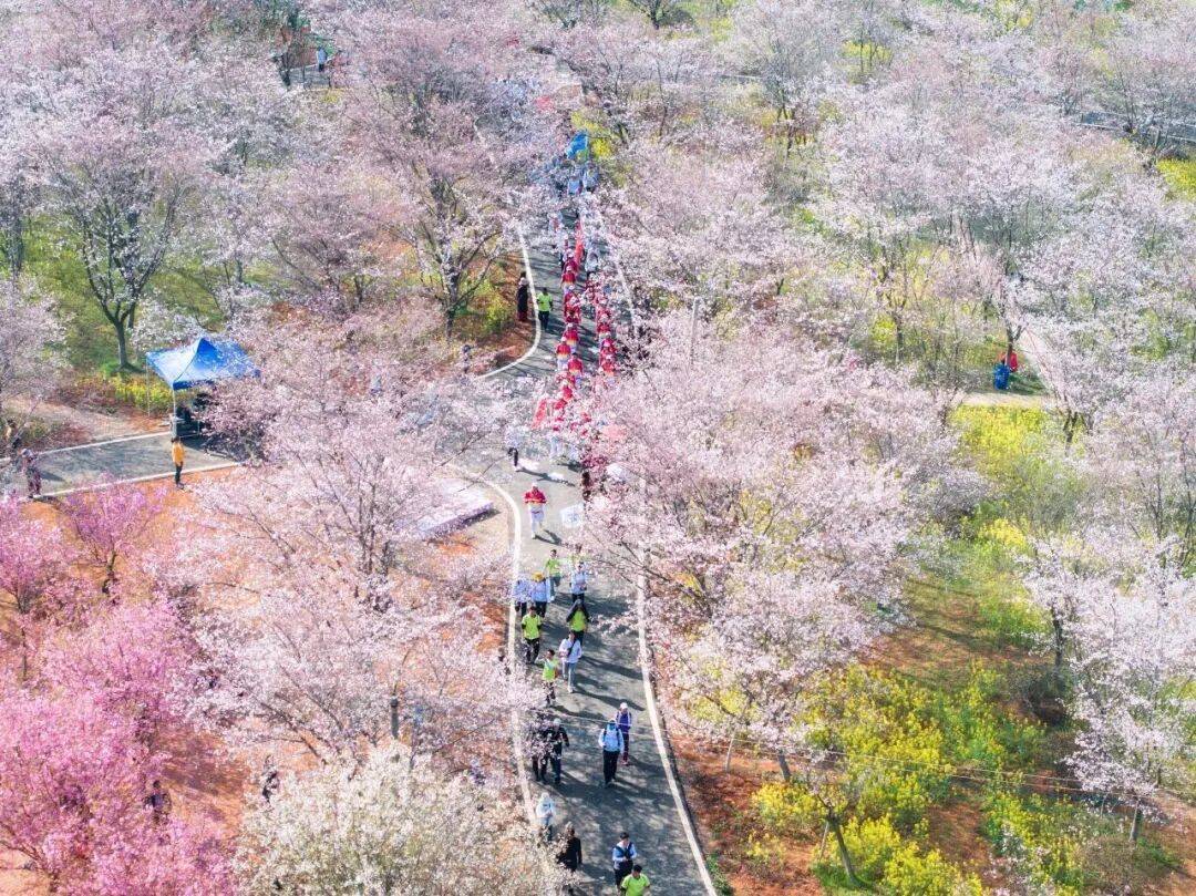 89fbb7d7bf7f4e80f041b540f5e22369.jpg 89fbb7d7bf7f4e80f041b540f5e22369.jpg