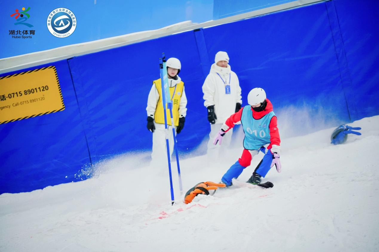 图片11.png 图片11.png