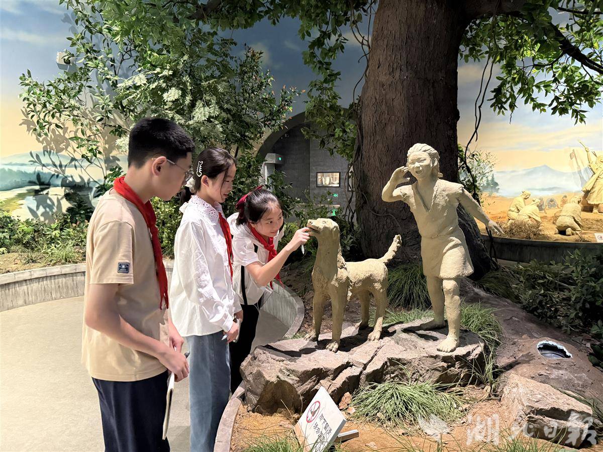 IMG_2022(1).JPG IMG_2022(1).JPG