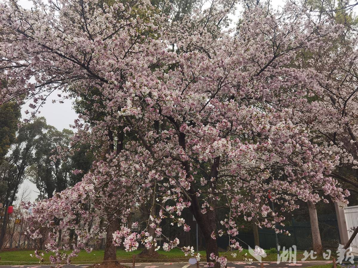 febd7f85c25f85aa710a9c836dbd39df.jpg febd7f85c25f85aa710a9c836dbd39df.jpg