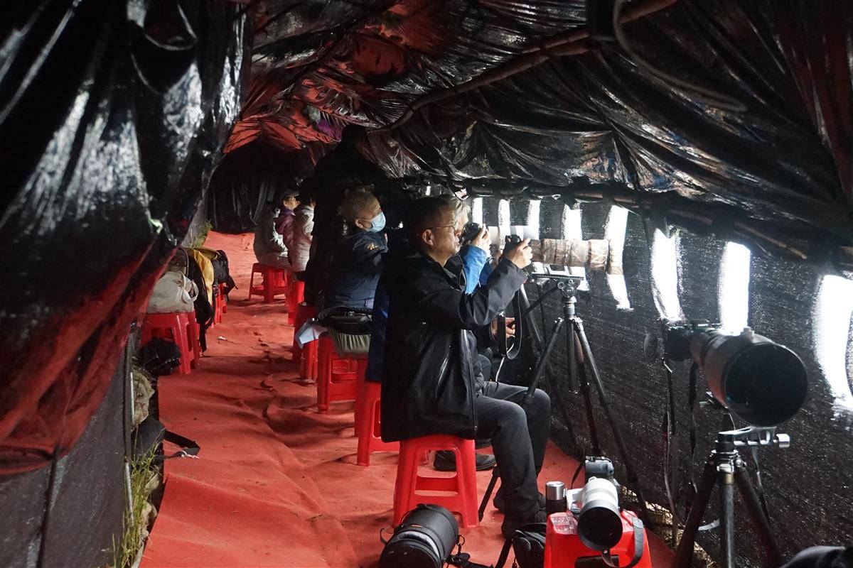 观鸟爱好者正在监测观鸟。（河南日报全媒记者 陈崇 摄）