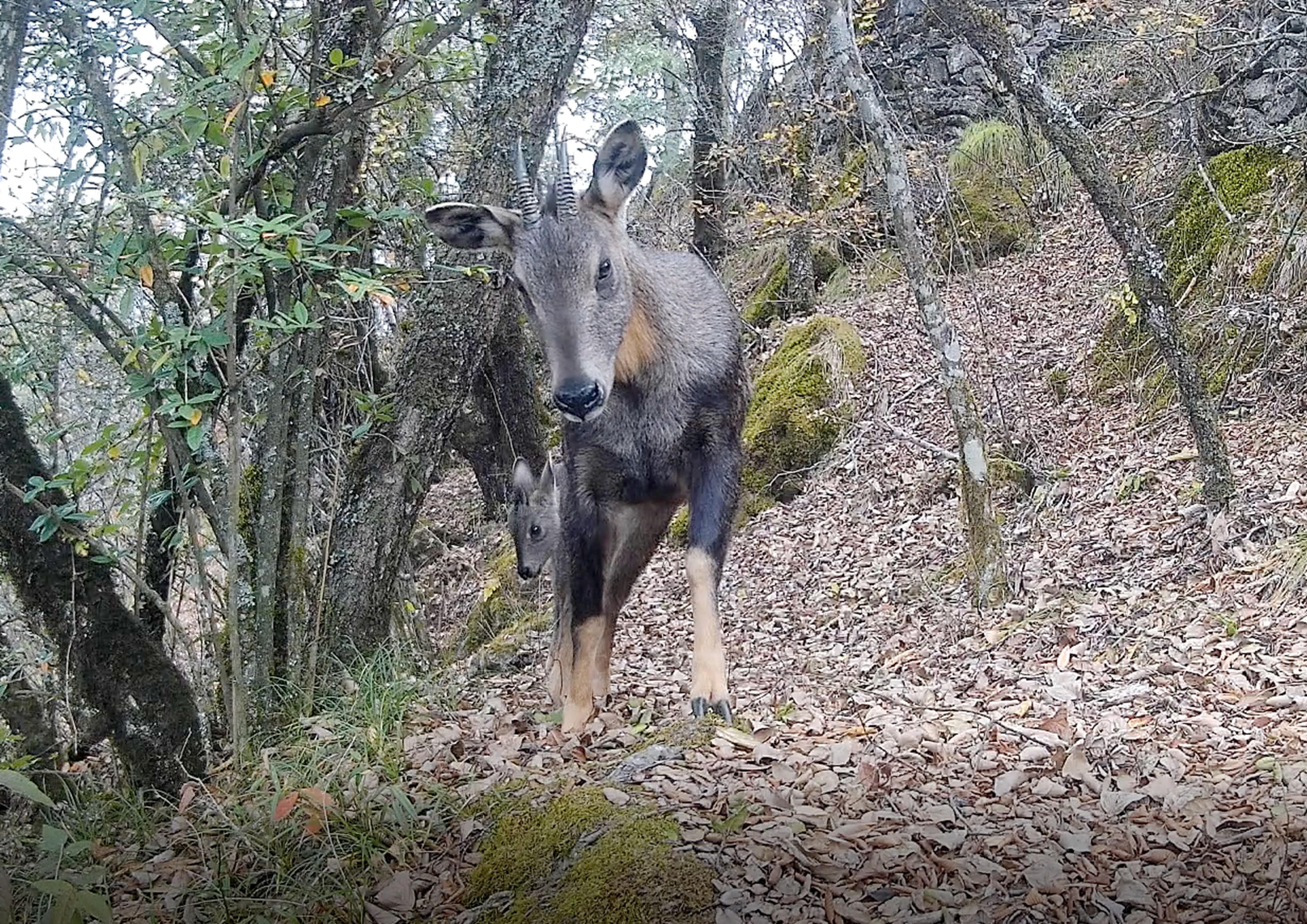 71501252-9864-436e-a8e9-b20b5a698a69.png 71501252-9864-436e-a8e9-b20b5a698a69.png