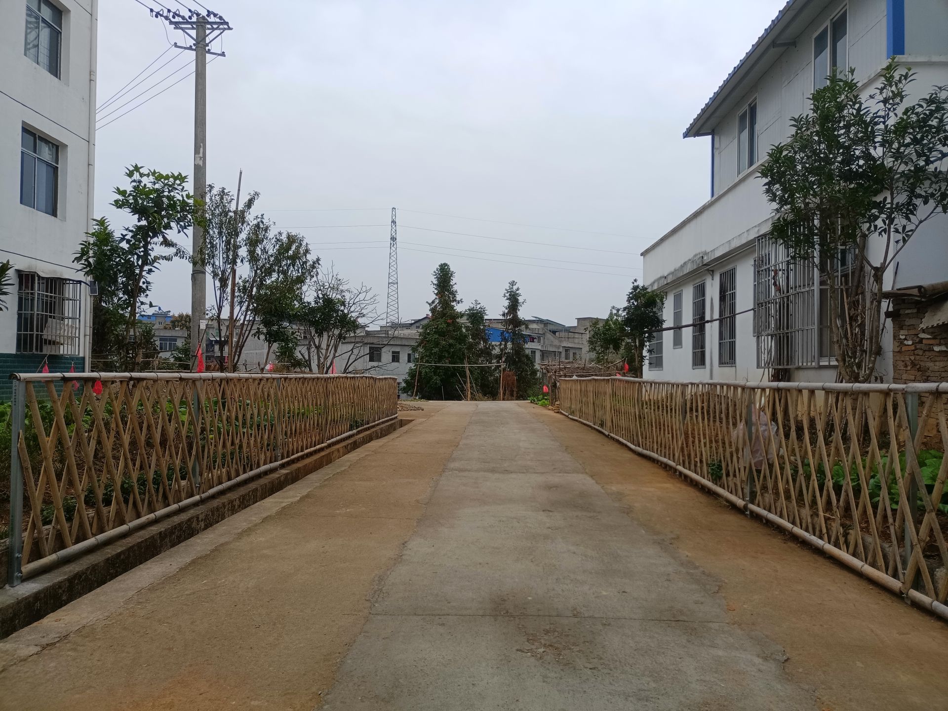 通山县闯王镇环境整治下真功乡村面貌换新颜