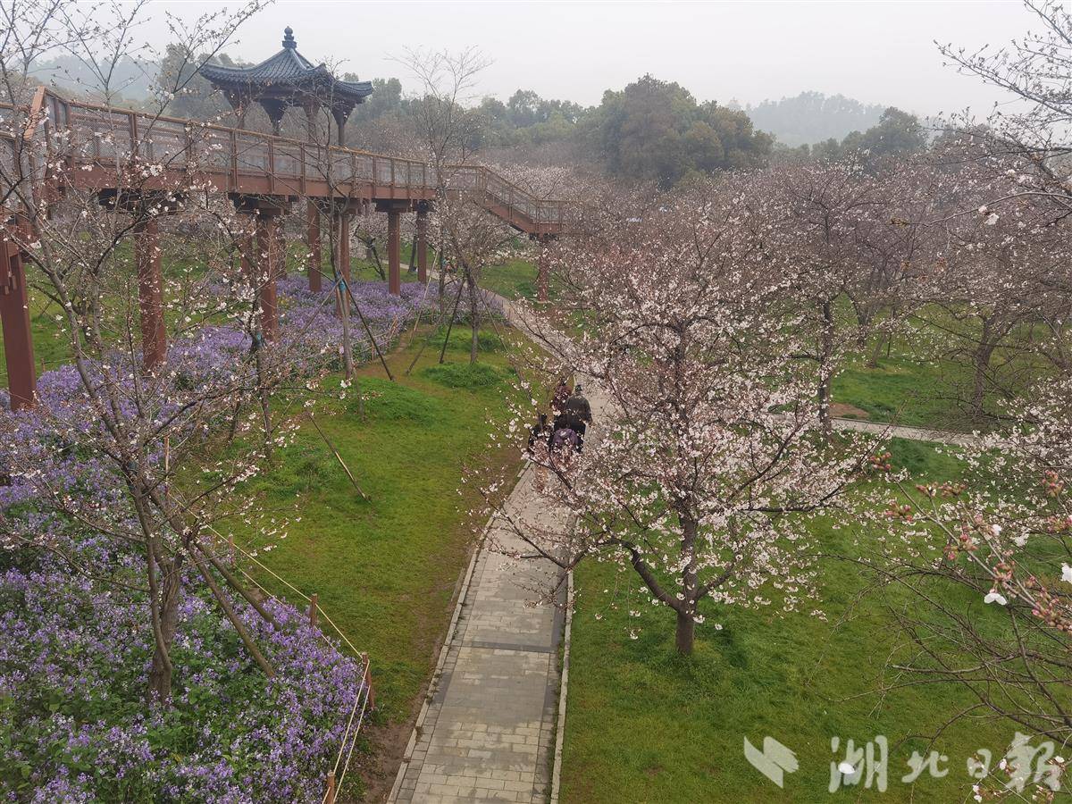 452542e3b6d882a9341afc83b9cc420e.jpg 452542e3b6d882a9341afc83b9cc420e.jpg