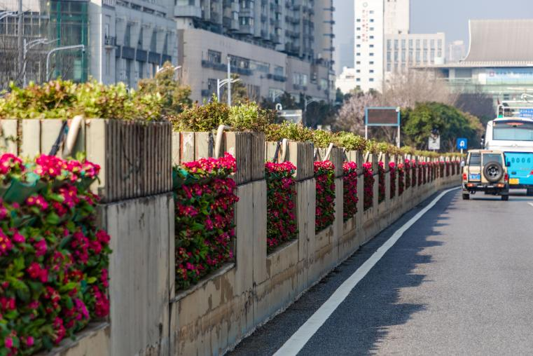 图片 8.png 图片 8.png