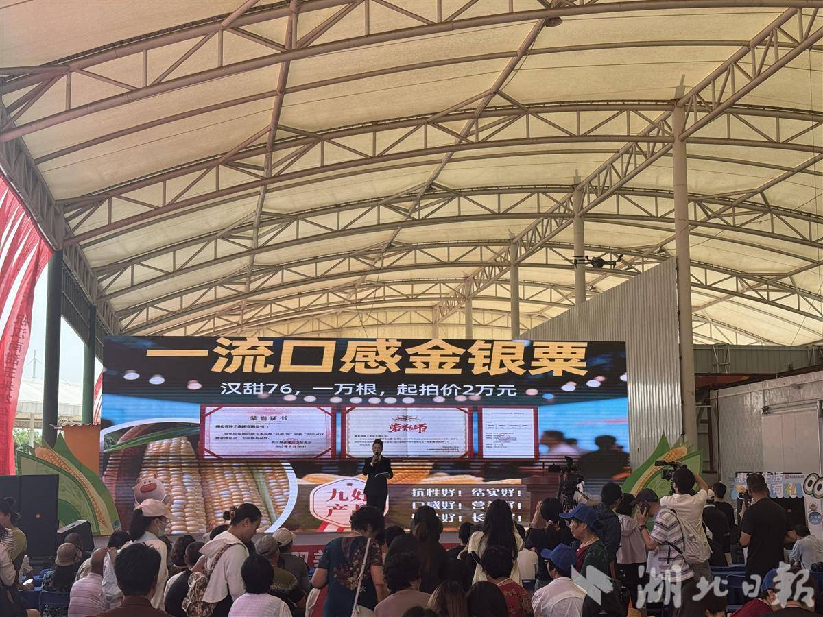 现场拍卖热闹非凡。湖北日报全媒记者谢慧敏摄