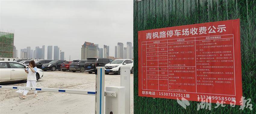 013 有关部门协调附近地块，紧急增加停车位，以应对客流高峰。湖北日报全媒记者 汪洋 摄.jpg
