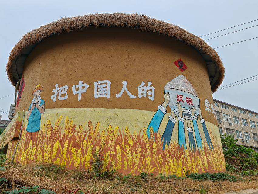 云梦:把中国人的饭碗牢牢端在自己手中 - 湖北日报新闻客户端