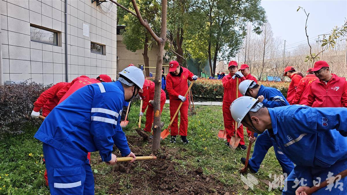 武汉油库园区植树活动1.jpg