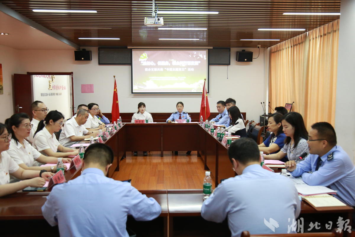 嘉鱼县税务局联合湖北金盛兰公司开展主题党日活动