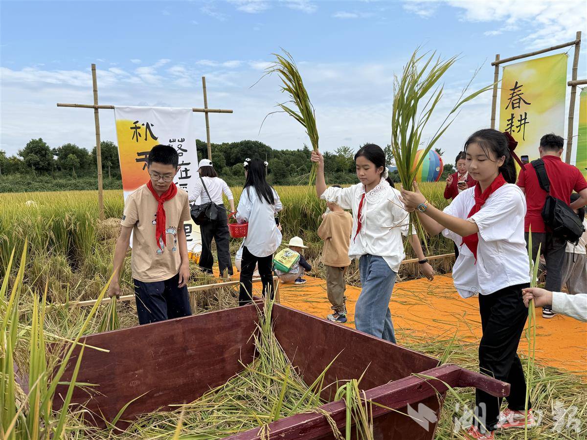 IMG_2205.JPG IMG_2205.JPG