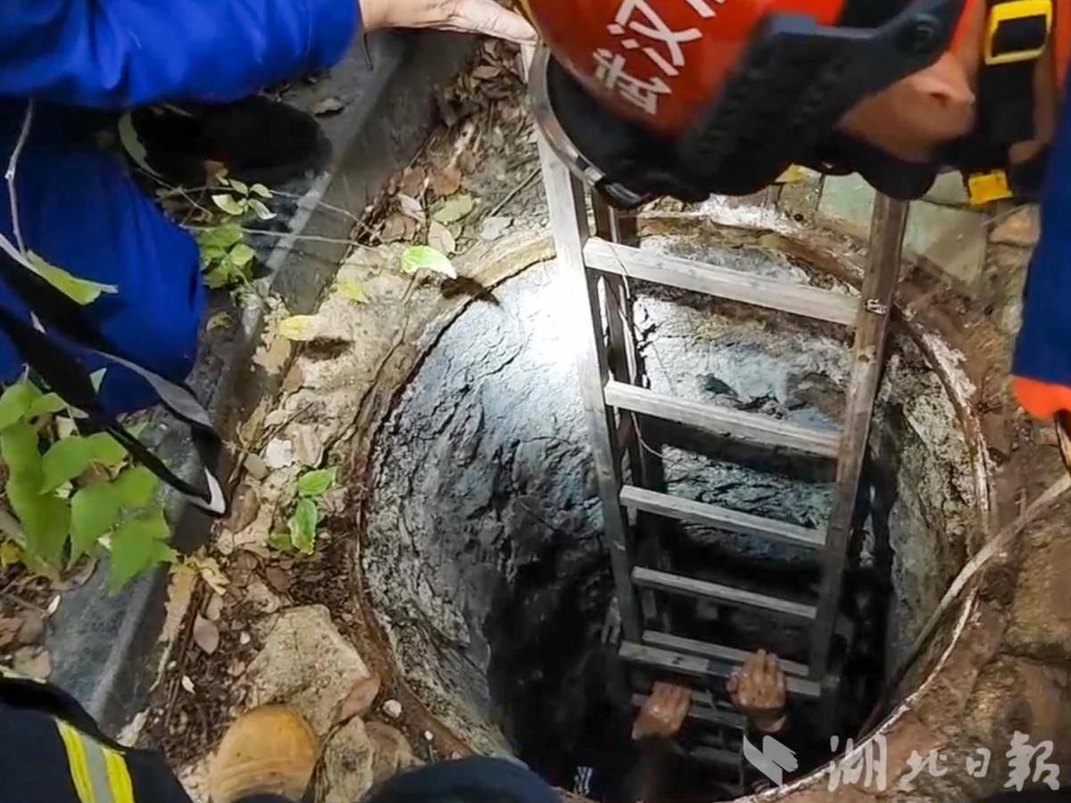 图片12.png 图片12.png