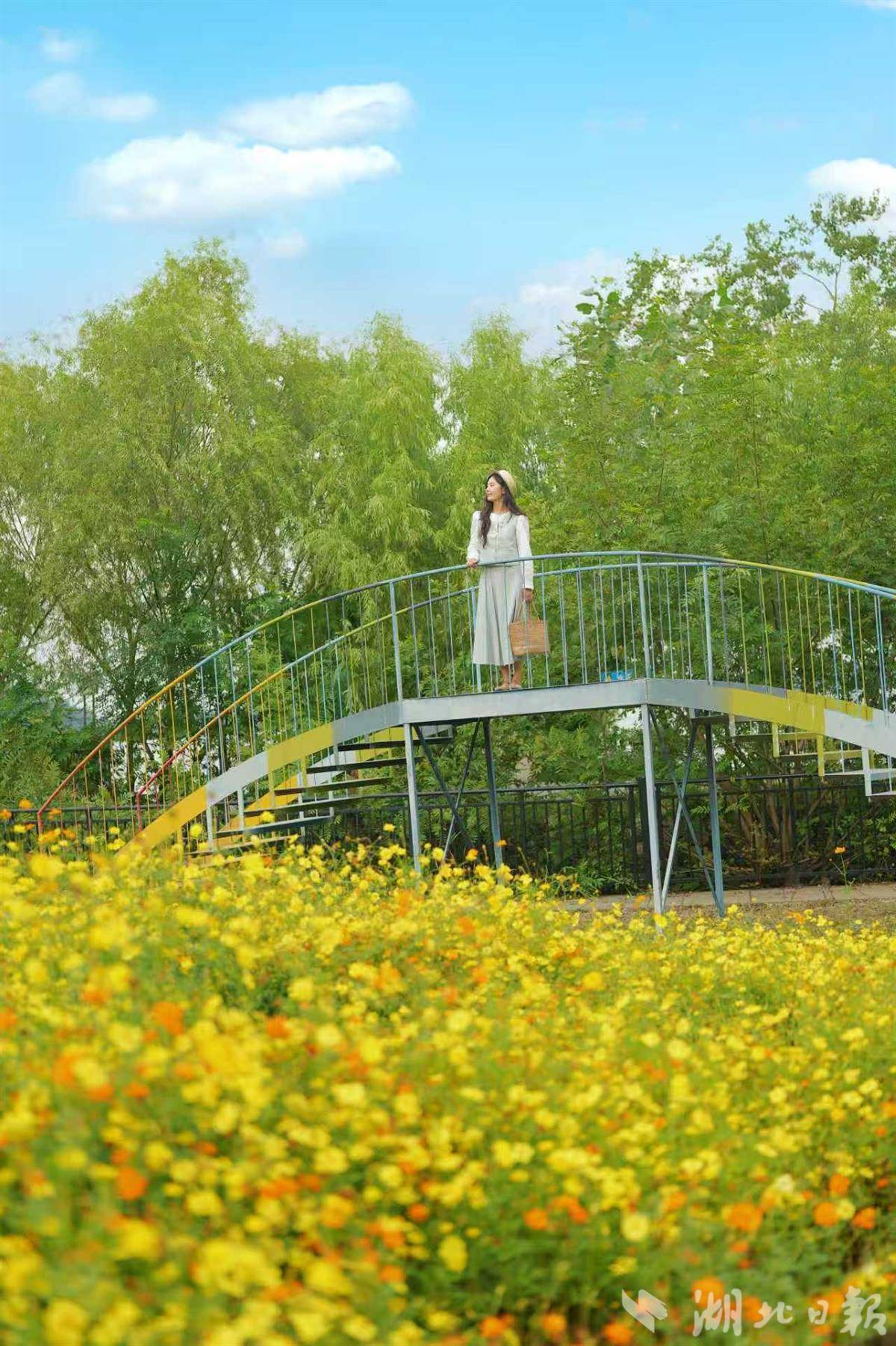 mmexport1759564490995.jpg mmexport1759564490995.jpg