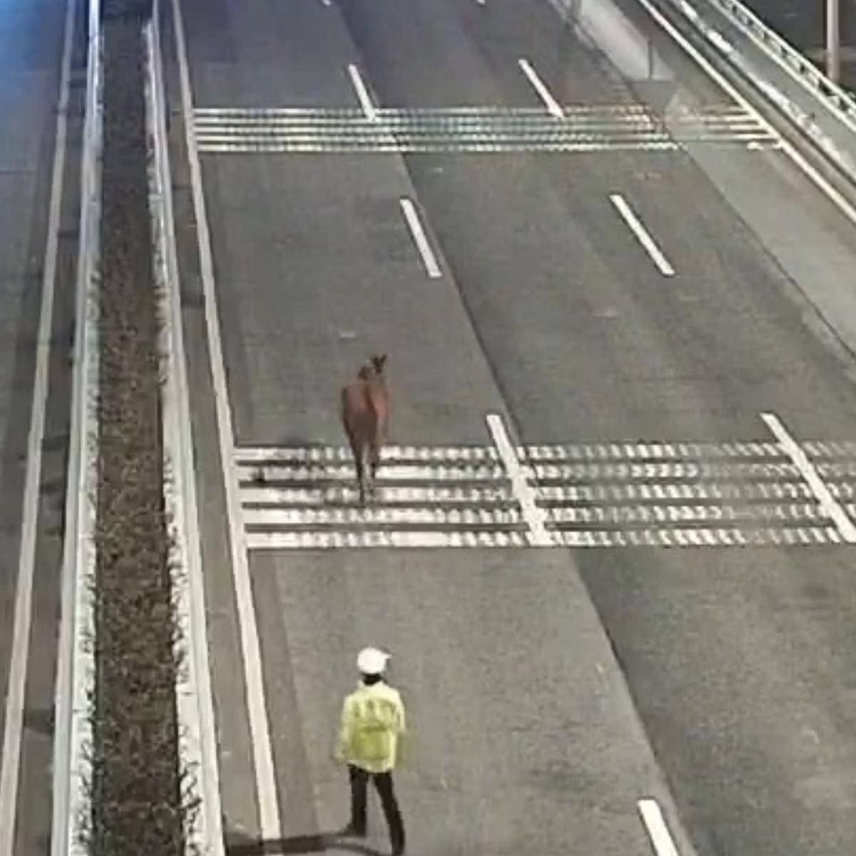 竖版短视频.jpg 竖版短视频.jpg