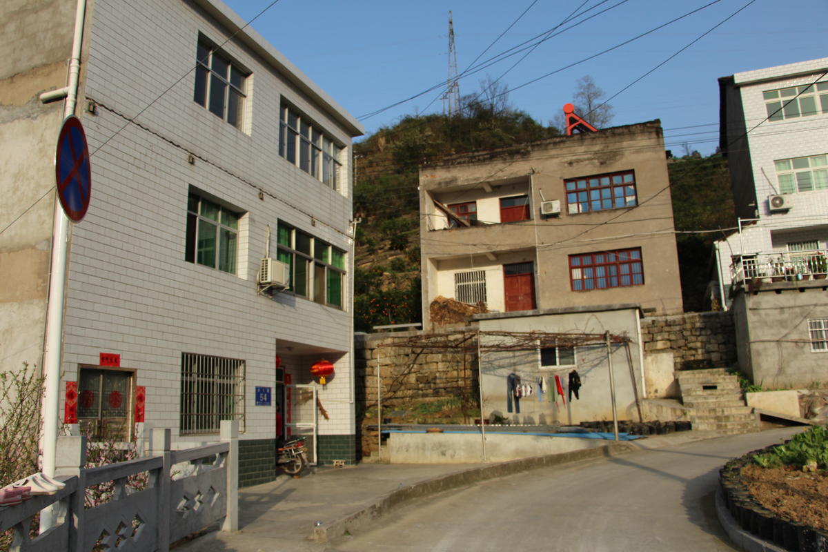 积极响应清违行动秭归县屈原镇人大代表带头拆雨棚