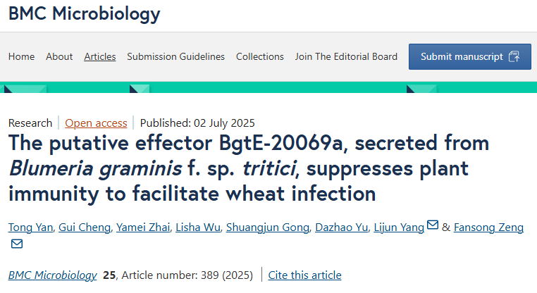 686e297ed627e.png 686e297ed627e.png