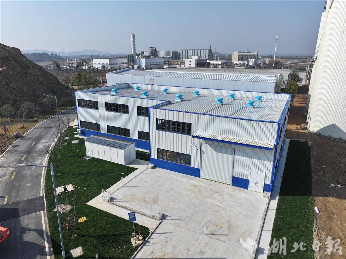 DJI_20260108105637_0019_D.JPG DJI_20260108105637_0019_D.JPG