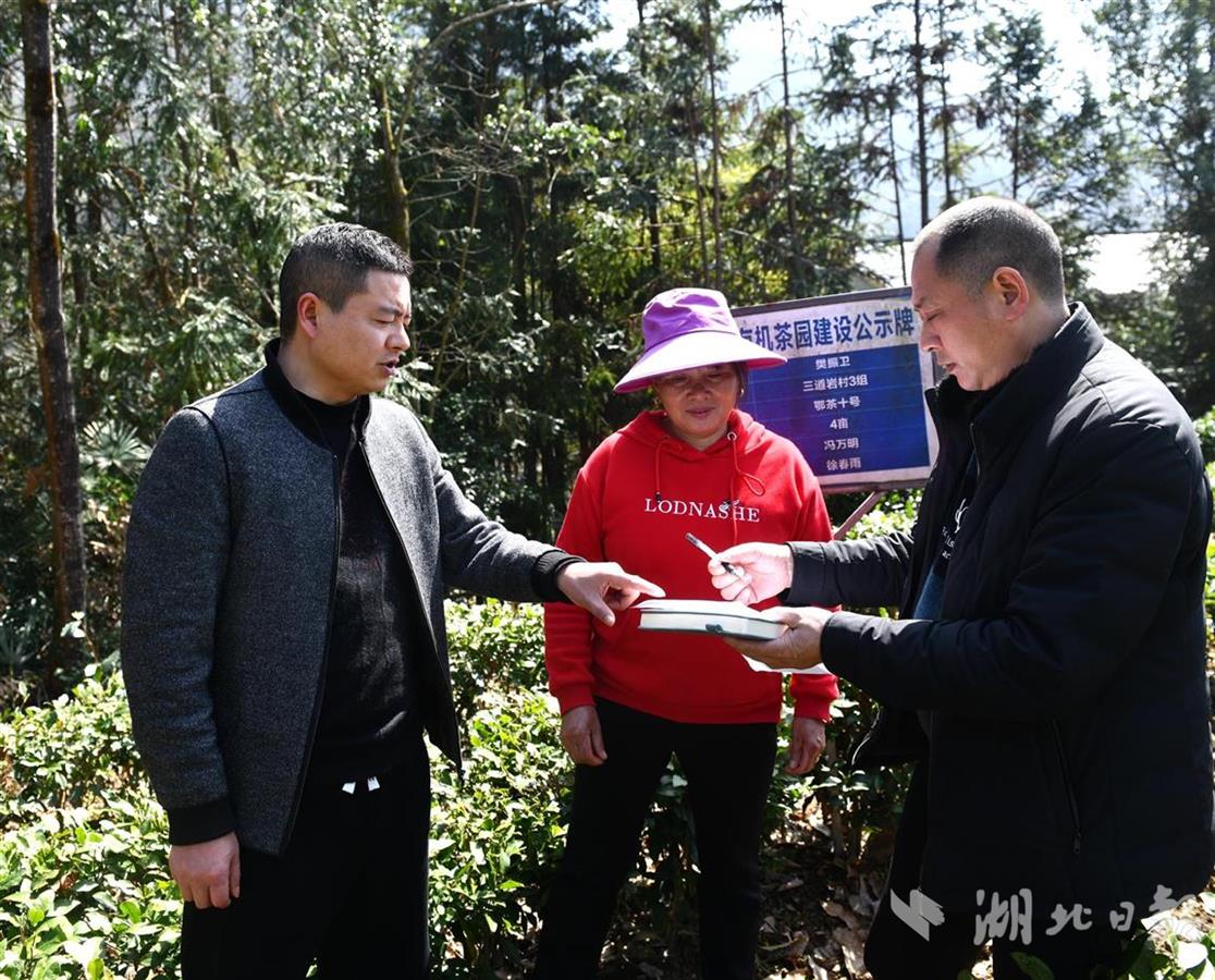 趁着改革开放东风,17岁这年跟随父亲到荆门市漳河镇种茶,帮父亲打理