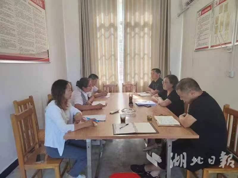 竹溪水坪镇：用“六步走”工作法   推进防返贫监测工作走深走实.docx