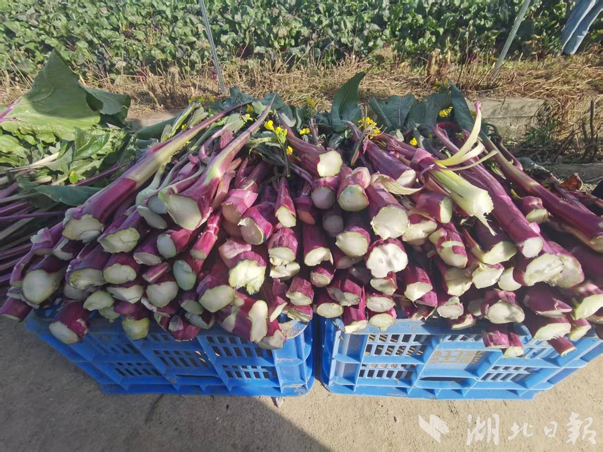 53a968e71f0ee2d08f84a8ff71e76aa0.jpg 53a968e71f0ee2d08f84a8ff71e76aa0.jpg