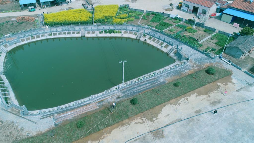 京山市罗店镇:合力共治小微水体 共同缔造宜居梅李_荆门新闻网