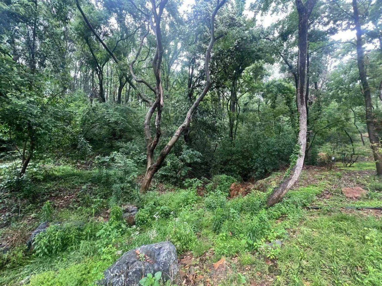 微信图片_2025-08-23_192008_390.jpg 微信图片_2025-08-23_192008_390.jpg