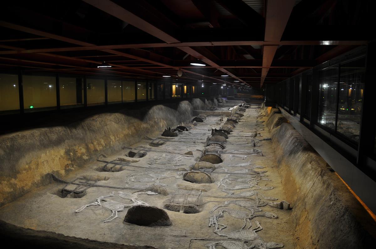 熊家冢车马坑保护展示厅江陵望山,沙塚墓地荆门包山楚墓荆门郭店墓地