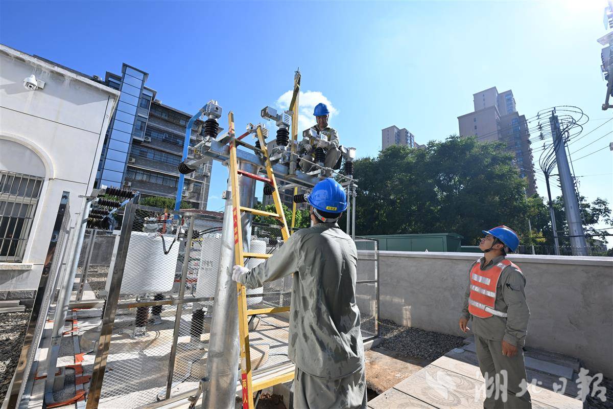 微信图片_2025-08-22_091518_799.jpg