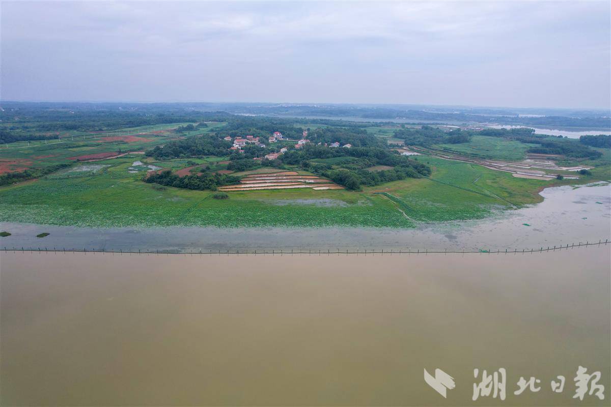 微信图片_20250729142202.jpg 微信图片_20250729142202.jpg