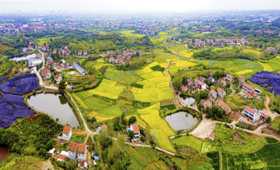 环城发展建新村看团风县方高坪镇临湖村行政村布局调整后的蝶变