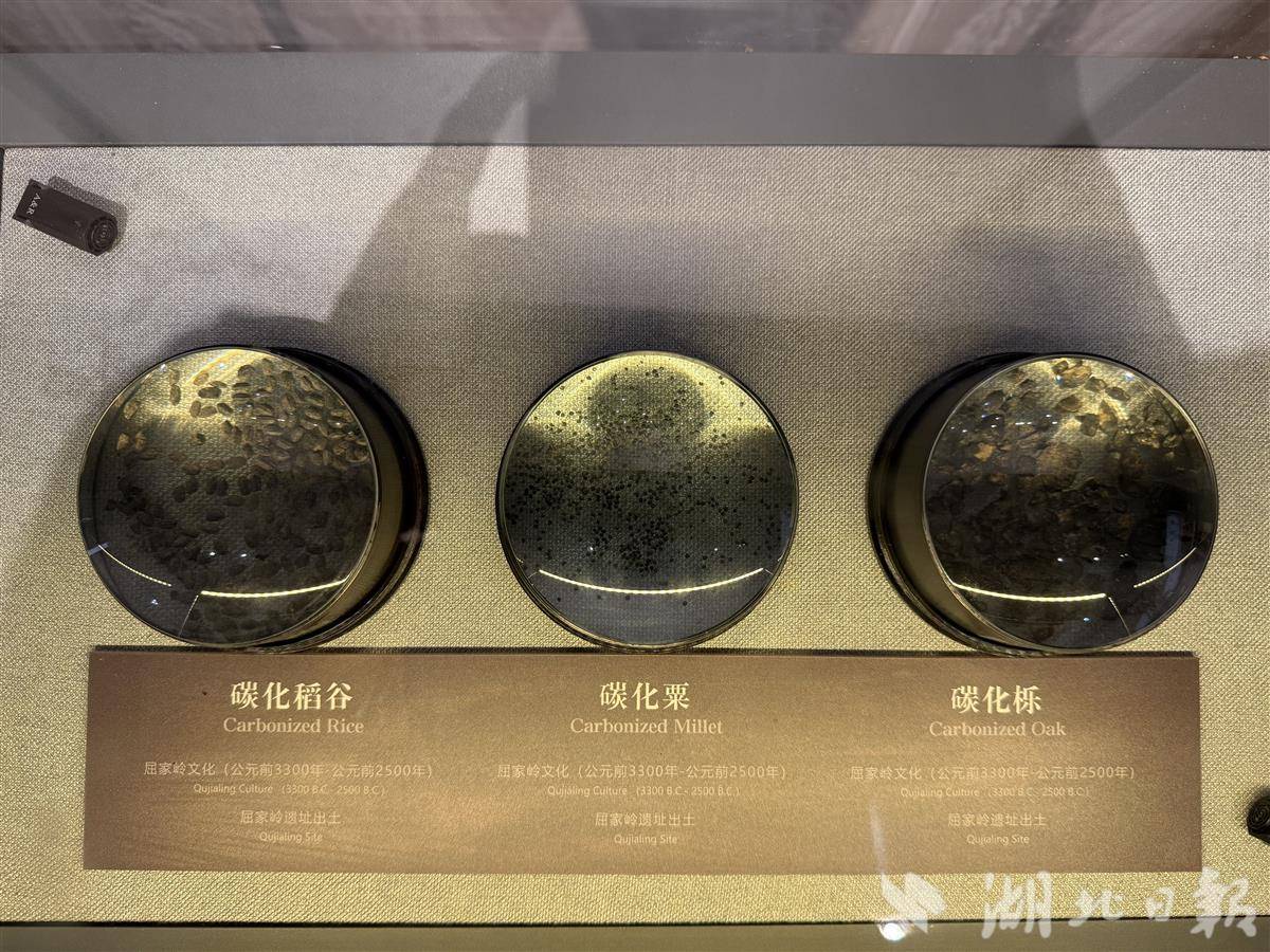 IMG_1997.JPG IMG_1997.JPG