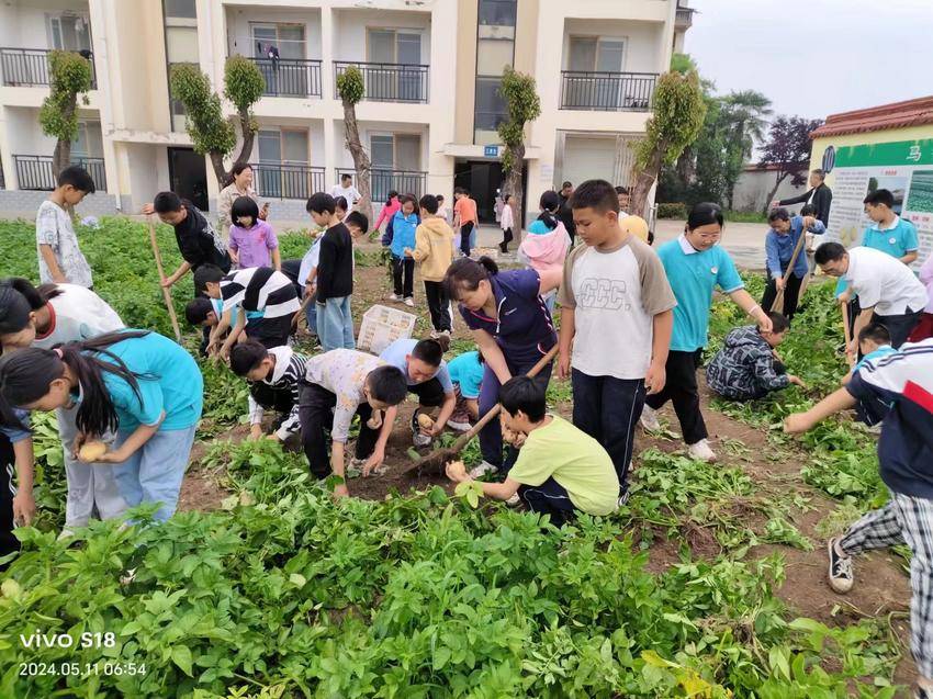郑集镇楚才小学:劳动锻炼快乐多 辛勤耕耘结硕果